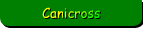 Canicross
